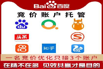 行业领先企业的SEM运营策略案例解析