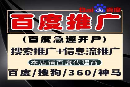 汽车行业SEM托管服务案例分析